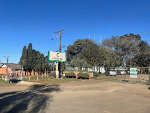 Motivos para investirem compensados da Centenário